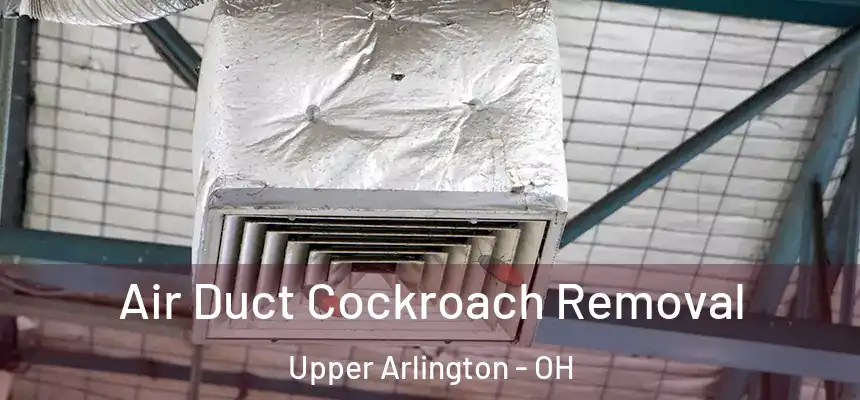  Air Duct Cockroach Removal Upper Arlington - OH