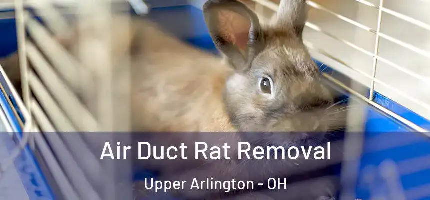  Air Duct Rat Removal Upper Arlington - OH