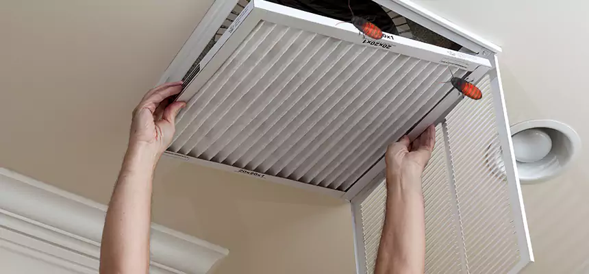 Our Insect Removal from Air Ducts Services in Upper Arlington, OH