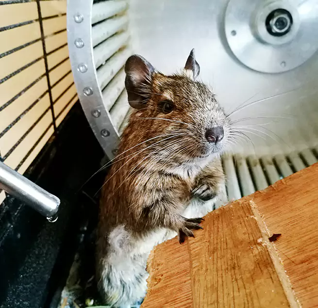 Why Homeowners & Businesses Trust Us Upper Arlington, OH